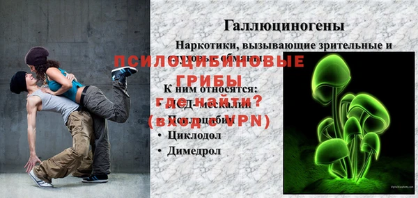 PSILOCYBIN Новокубанск