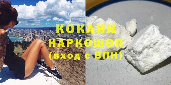 PSILOCYBIN Новокубанск