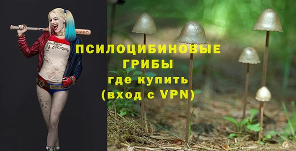 PSILOCYBIN Новокубанск