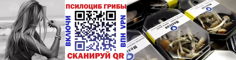 Галлюциногенные грибы Psilocybine cubensis  Нестеров 